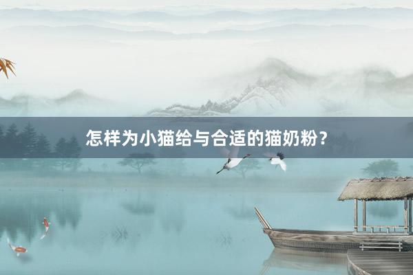 怎样为小猫给与合适的猫奶粉？